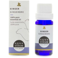 GINGER