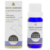 CAMPHOR