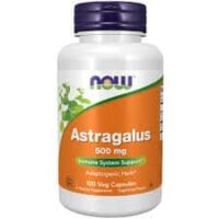ASTRAGALUS 500MG CAPS 100'S
